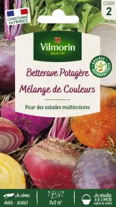 Betterave Potagère Arc-en-Ciel en mélange